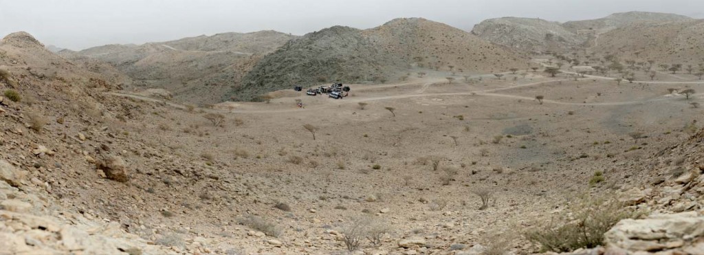 WS Panorama